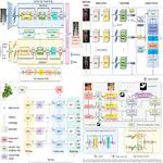 2023-2024 Half Year Summary