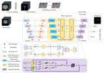 TD-Net: Trans-Deformer network for automatic pancreas segmentation. Neurocomputing