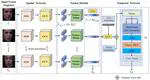 Dynamic facial expression recognition based on spatial key-points optimized region feature fusion and temporal self-attention