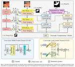 MC-DC: An MLP-CNN Based Dual-path Complementary Network for Medical Image Segmentation