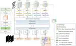 MESTrans: Multi-scale embedding spatial transformer for medical image segmentation