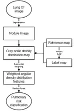 Quantitative CT analysis of pulmonary nodules for lung adenocarcinoma risk classification based on an exponential weighted grey scale angular density distribution feature