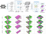 CSV-Occ: Fusing Multi-frame Alignment for Occupancy Prediction with Temporal Cross State Space Model and Central Voting Mechanism
